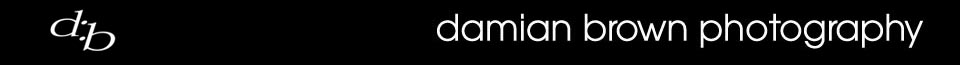 Wedding Photographer, Portrait Photographer, Commercial Photographer, Birmingham, West Midlands Wedding Photographer – Photography by Damian Brown logo